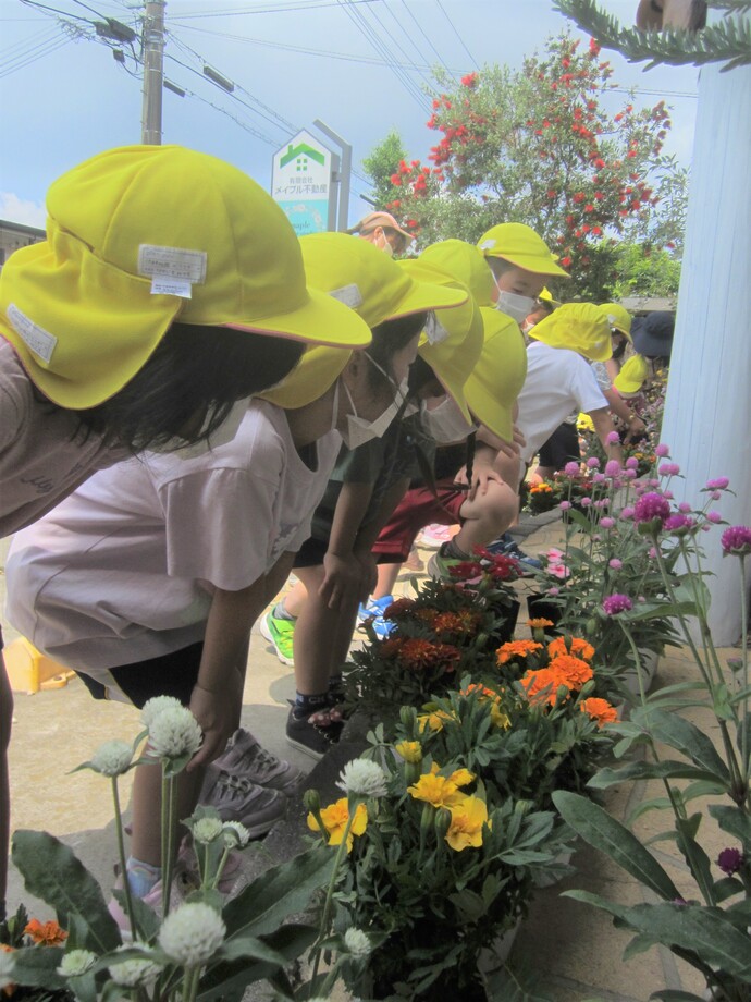 写真 花を選ぶ年長児