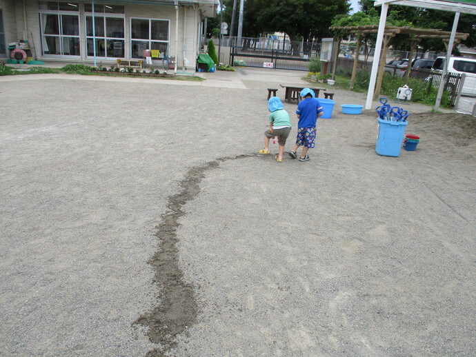 写真 地面に線路