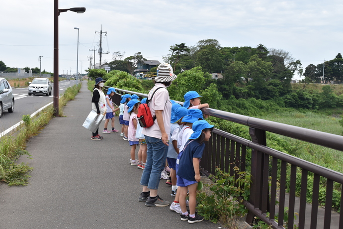 橋の上で園児が下をのぞいている