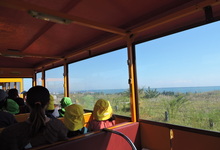 写真 電車から見える海