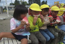 写真 スイカを試食する幼児たち