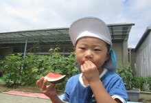 写真 スイカをほおばる幼児