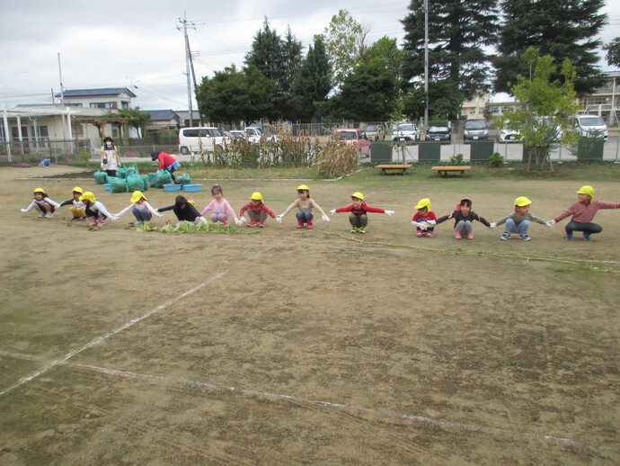 写真 かぼちゃのつるを園庭にのばしてみている様子