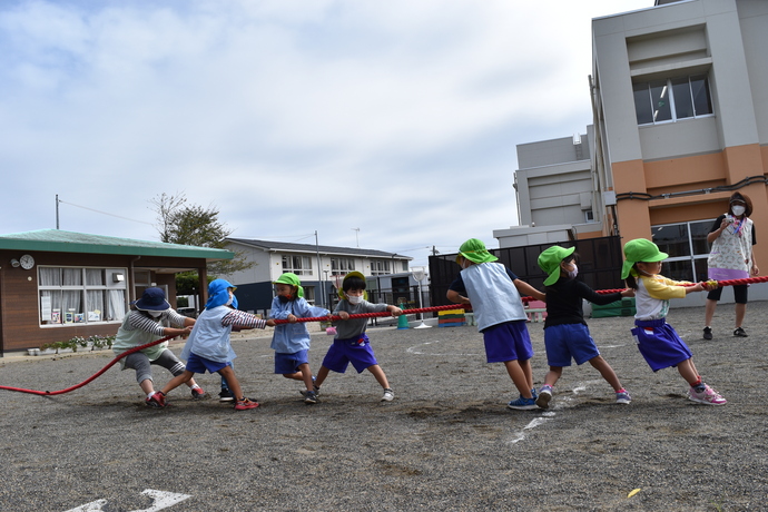 綱引きをする園児と先生