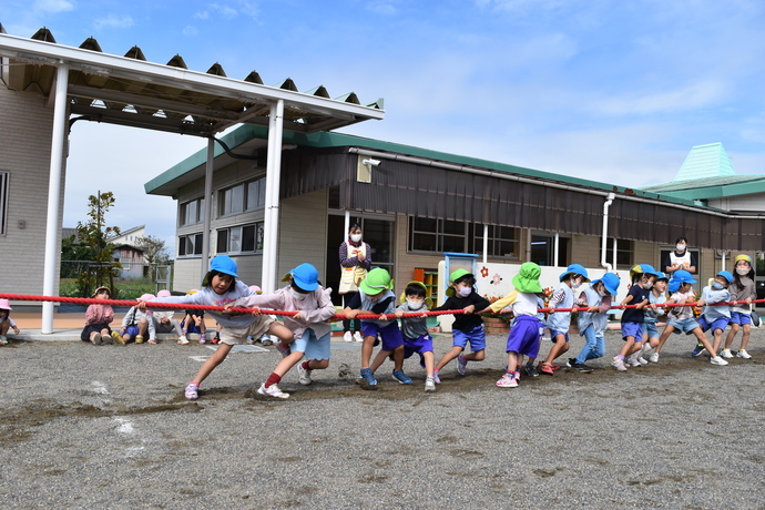 大勢の園児が綱を引いている。