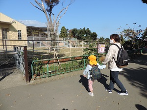 写真：かみね動物園