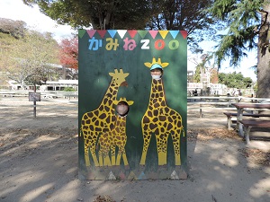 写真：かみね動物園