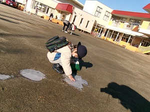 写真：氷を触る園児