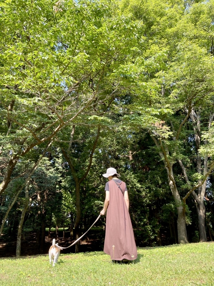 公園での風景