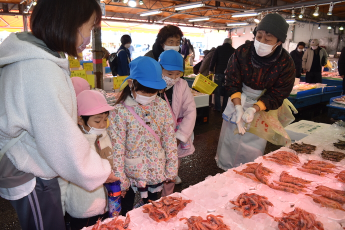 エビを見て質問する園児