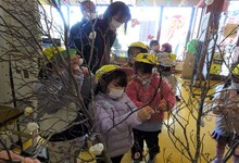 写真 繭玉飾りをつける園児