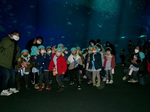 写真：水族館