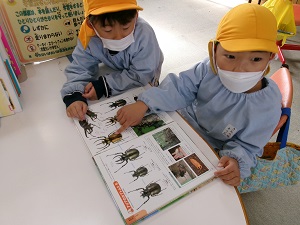 写真：図書館