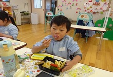 写真 弁当を食べる幼児