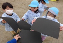 写真 雪を黒い紙に集める幼児たち