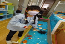 写真 水族館ごっこで遊ぶ年長児