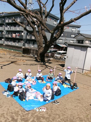 写真：桜の下でお花見弁当