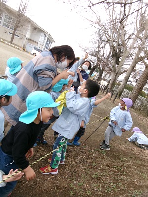 写真：小学校の桜