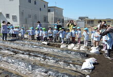 写真 畑に念を送る幼児たち