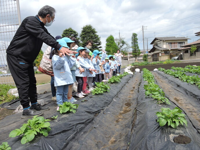 おいしくなあれ、おいしくなあれとじゃがいもにパワーを浴びせている写真