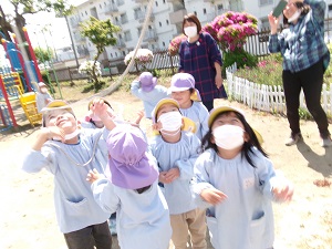 写真：こいのぼり