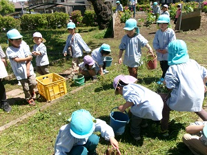 写真:小学校へ散歩