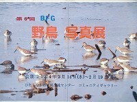 写真：第6回野鳥写真展