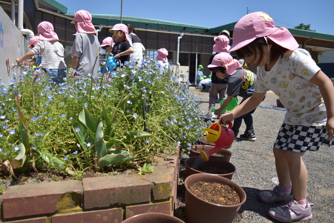 植木鉢に水をやる園児