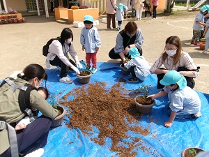 写真:野菜の苗植え