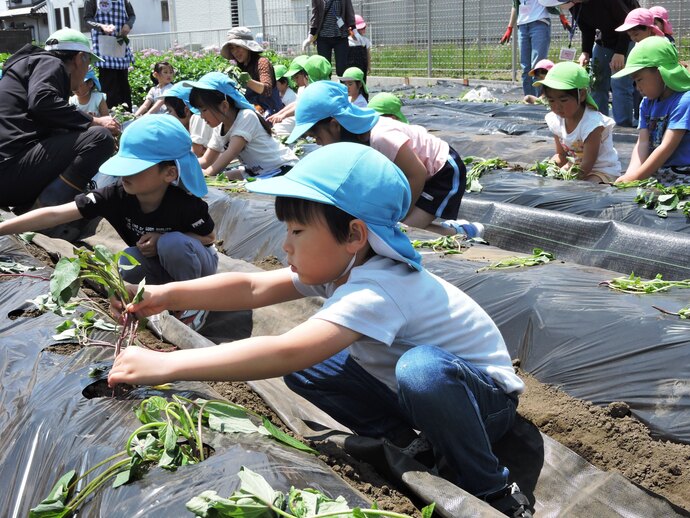 一人で上手に苗を植えるぞうさんとうさぎさんたちの写真