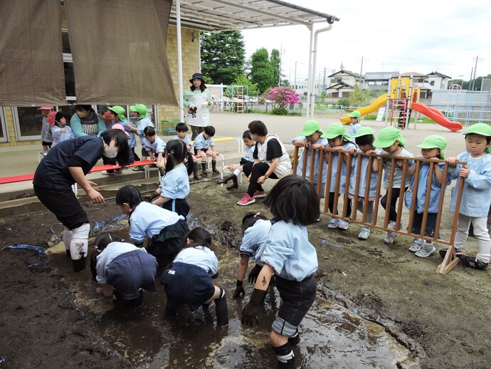 泥だらけになって泥を細かく砕いているぞうさんの写真