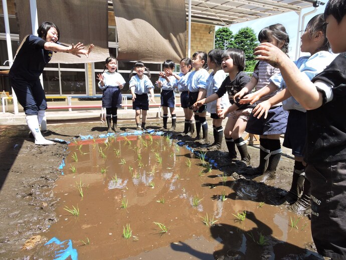 苗に「おいしくなあれ」ビームを浴びせているぞうさんたちの写真