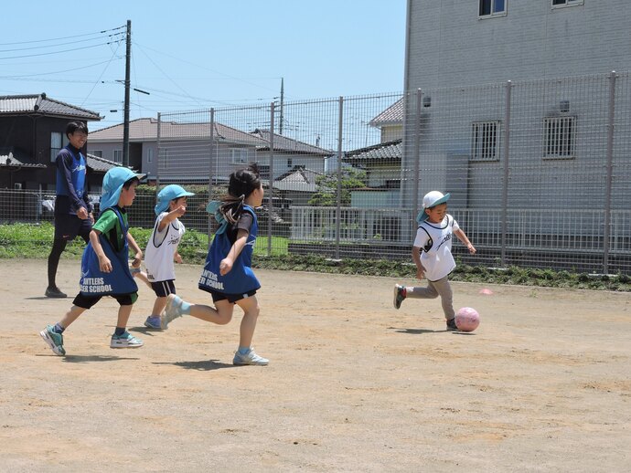 本格的にサッカーをしているぞうさんの写真