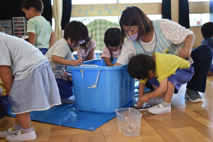 タライを覗き込みドジョウを見る園児