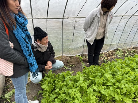 （写真）農場見学