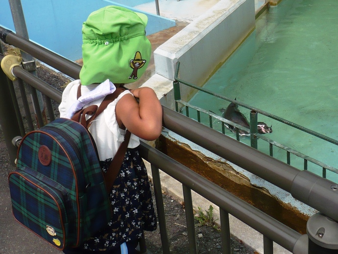 うさぎさんにペンギンが近寄ってきた写真