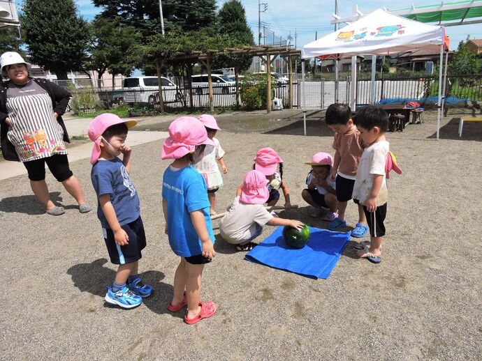 ひよこさんのすいか割りの写真