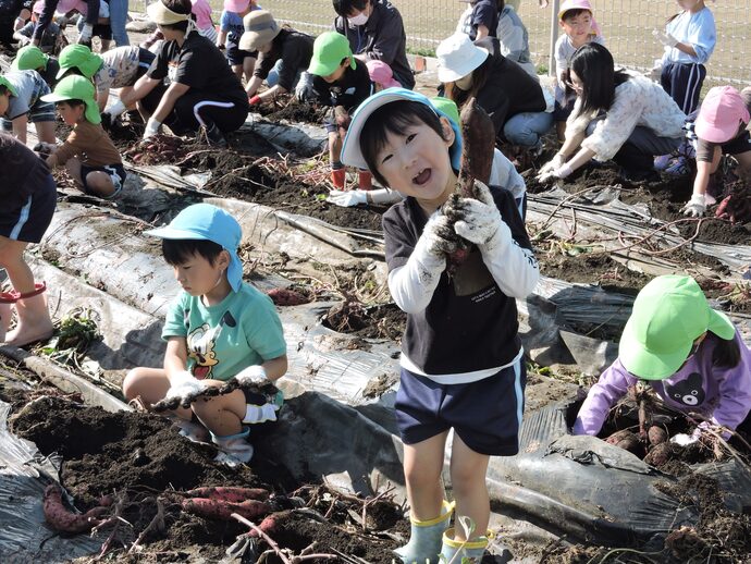 大きなお芋がゴロゴロの写真