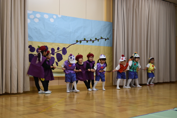 お芋役と子ども役の園児が綱引きをしている