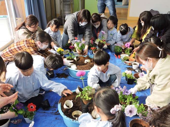 ぞう組の親子寄せ植え体験の写真