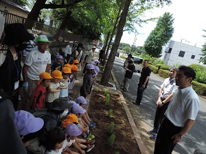 写真：コキア植樹