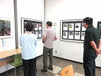 写真： 写真と俳句のコラボ展