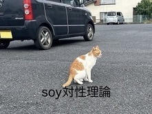soy対性理論from茨城大学バンドサークル