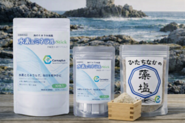 株式会社Carnaplus