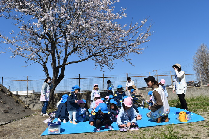 桜の下でおやつを食べる園児たち