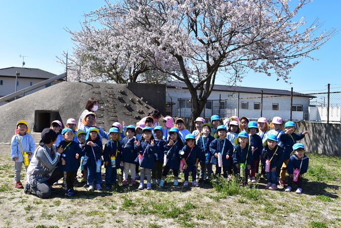 桜の前で集合する園児たち