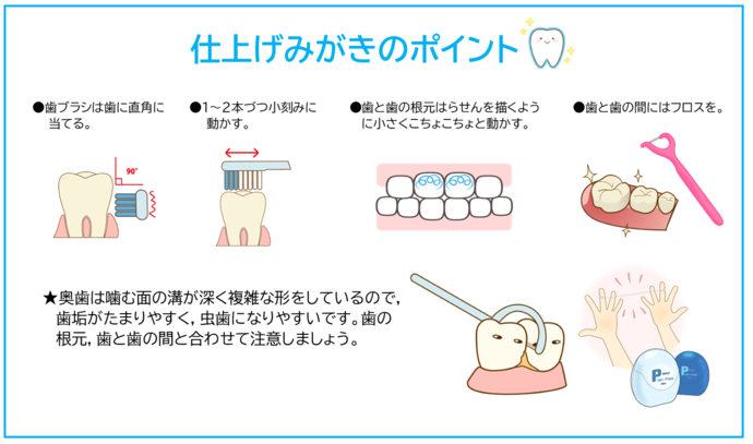 歯磨きのポイント