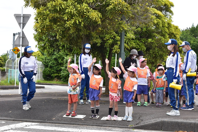 横断歩道を渡る園児たち