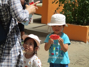 写真：スイカを食べている幼稚園児