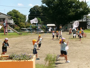 写真：虫捕り